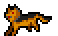 dog running
